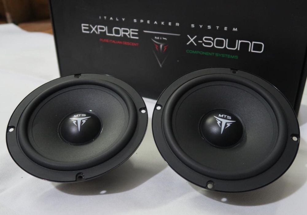 ĐÔ LOA TRẦN Ô TÔ BẮC NINH